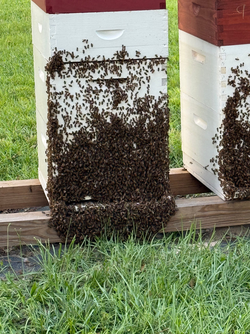 New Beek Setup w/NUCS